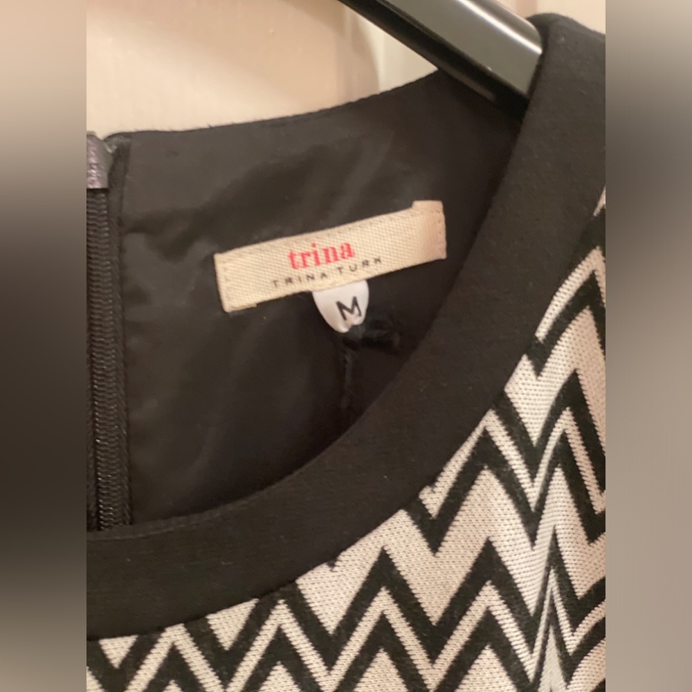 Sleeveless Dress, Chevron Sheila — By Trina Turk, Size Medium - Picture 7 of 15